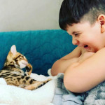 BENGAL CAT BREEDERS UK