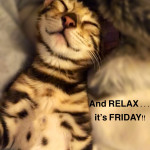 Dreamstone kitten relaxing
